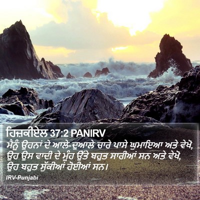 ਹਿਜ਼ਕੀਏਲ 37:2 PANIRV Bible Verse Image