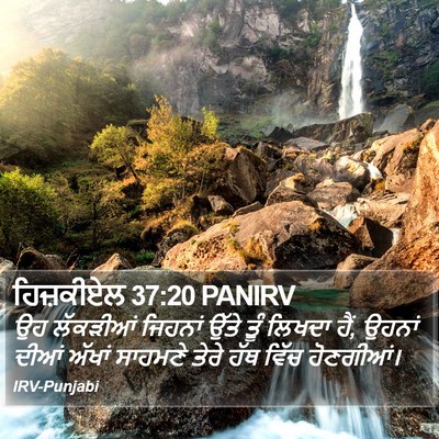 ਹਿਜ਼ਕੀਏਲ 37:20 PANIRV Bible Verse Image