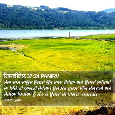 ਹਿਜ਼ਕੀਏਲ 37:24 PANIRV Bible Verse Image