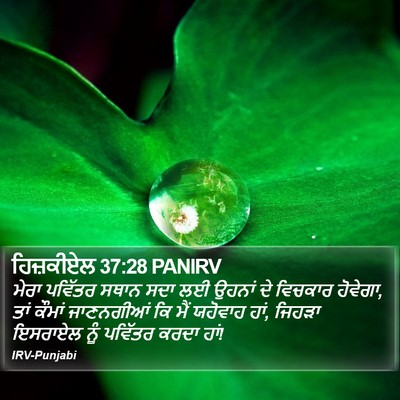 ਹਿਜ਼ਕੀਏਲ 37:28 PANIRV Bible Verse Image