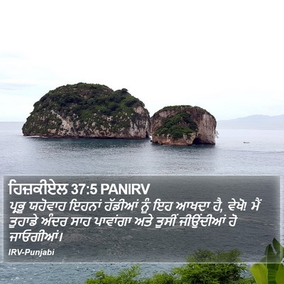 ਹਿਜ਼ਕੀਏਲ 37:5 PANIRV Bible Verse Image