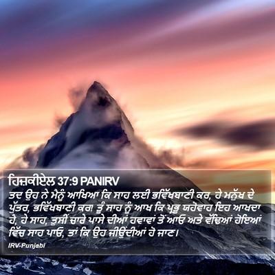 ਹਿਜ਼ਕੀਏਲ 37:9 PANIRV Bible Verse Image