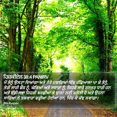 ਹਿਜ਼ਕੀਏਲ 38:4 PANIRV Bible Verse Image