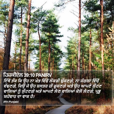 ਹਿਜ਼ਕੀਏਲ 39:10 PANIRV Bible Verse Image