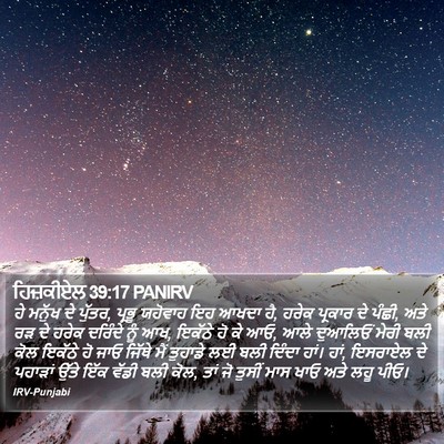 ਹਿਜ਼ਕੀਏਲ 39:17 PANIRV Bible Verse Image