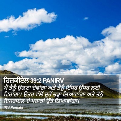 ਹਿਜ਼ਕੀਏਲ 39:2 PANIRV Bible Verse Image