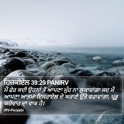 ਹਿਜ਼ਕੀਏਲ 39:29 PANIRV Bible Verse Image
