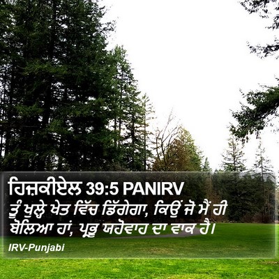 ਹਿਜ਼ਕੀਏਲ 39:5 PANIRV Bible Verse Image