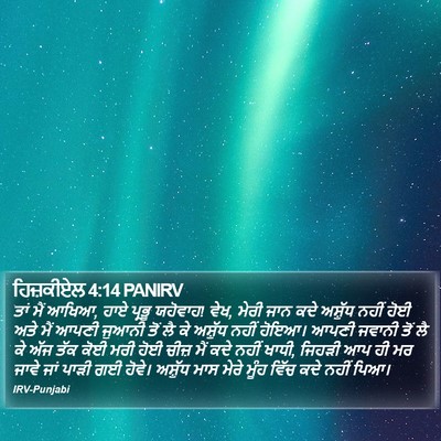 ਹਿਜ਼ਕੀਏਲ 4:14 PANIRV Bible Verse Image