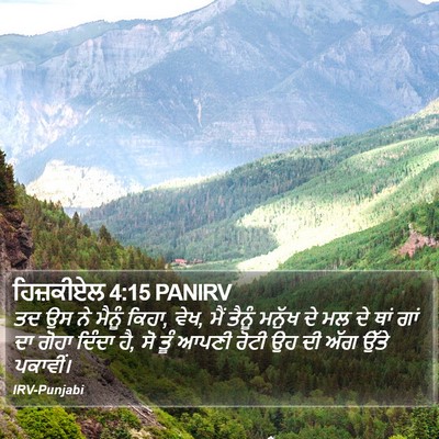 ਹਿਜ਼ਕੀਏਲ 4:15 PANIRV Bible Verse Image