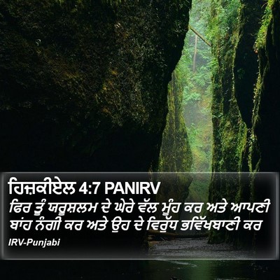ਹਿਜ਼ਕੀਏਲ 4:7 PANIRV Bible Verse Image