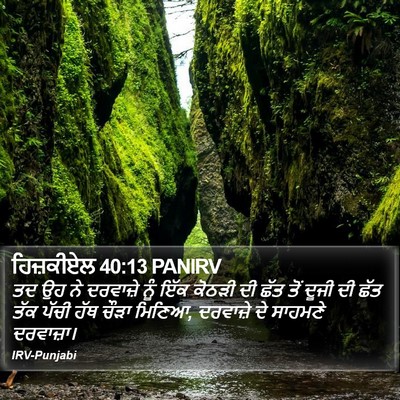 ਹਿਜ਼ਕੀਏਲ 40:13 PANIRV Bible Verse Image