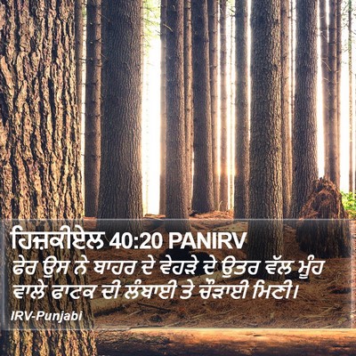 ਹਿਜ਼ਕੀਏਲ 40:20 PANIRV Bible Verse Image