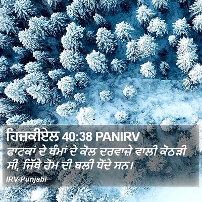 ਹਿਜ਼ਕੀਏਲ 40:38 PANIRV Bible Verse Image