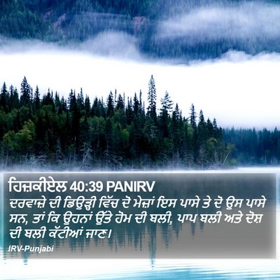 ਹਿਜ਼ਕੀਏਲ 40:39 PANIRV Bible Verse Image