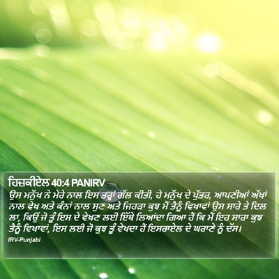 ਹਿਜ਼ਕੀਏਲ 40:4 PANIRV Bible Verse Image