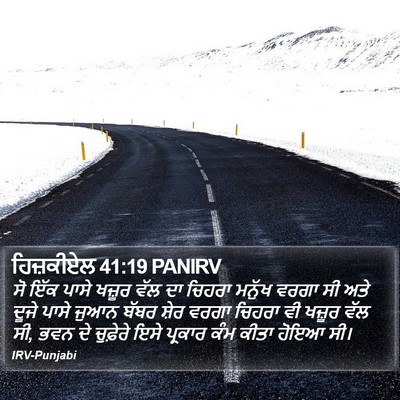 ਹਿਜ਼ਕੀਏਲ 41:19 PANIRV Bible Verse Image