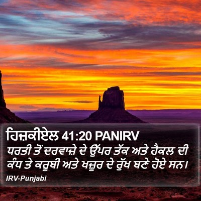 ਹਿਜ਼ਕੀਏਲ 41:20 PANIRV Bible Verse Image