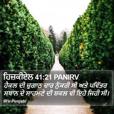 ਹਿਜ਼ਕੀਏਲ 41:21 PANIRV Bible Verse Image