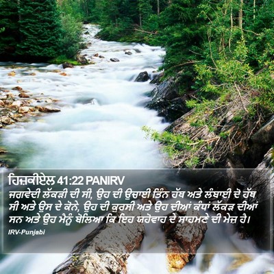 ਹਿਜ਼ਕੀਏਲ 41:22 PANIRV Bible Verse Image