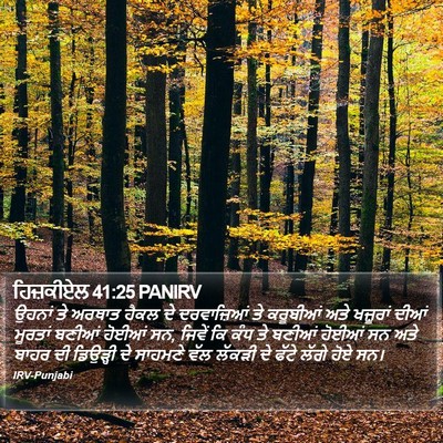 ਹਿਜ਼ਕੀਏਲ 41:25 PANIRV Bible Verse Image