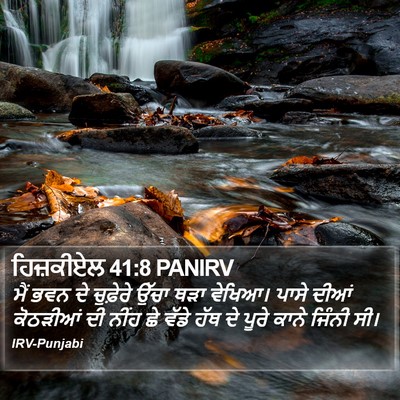 ਹਿਜ਼ਕੀਏਲ 41:8 PANIRV Bible Verse Image