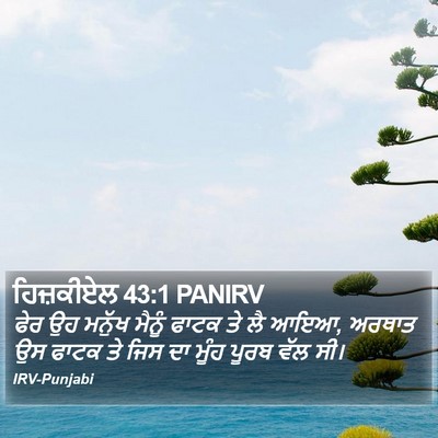 ਹਿਜ਼ਕੀਏਲ 43:1 PANIRV Bible Verse Image