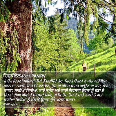 ਹਿਜ਼ਕੀਏਲ 43:11 PANIRV Bible Verse Image