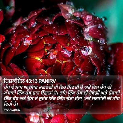 ਹਿਜ਼ਕੀਏਲ 43:13 PANIRV Bible Verse Image