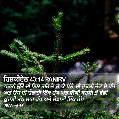 ਹਿਜ਼ਕੀਏਲ 43:14 PANIRV Bible Verse Image
