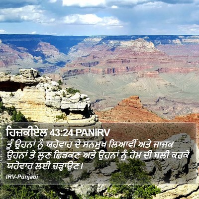 ਹਿਜ਼ਕੀਏਲ 43:24 PANIRV Bible Verse Image