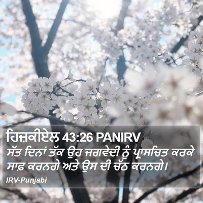 ਹਿਜ਼ਕੀਏਲ 43:26 PANIRV Bible Verse Image