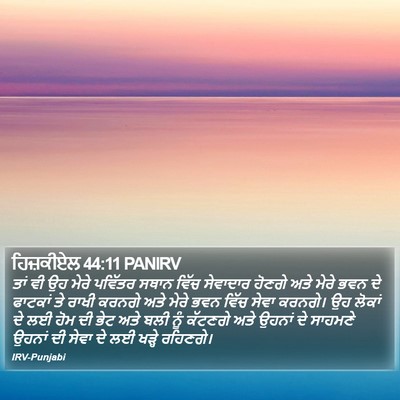 ਹਿਜ਼ਕੀਏਲ 44:11 PANIRV Bible Verse Image