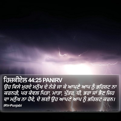ਹਿਜ਼ਕੀਏਲ 44:25 PANIRV Bible Verse Image