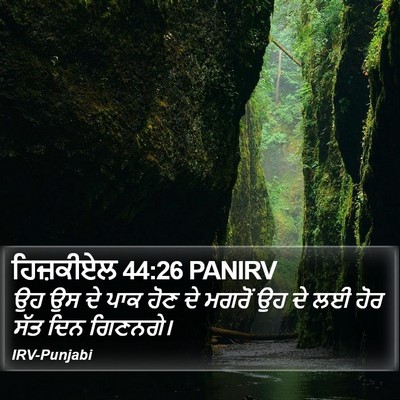 ਹਿਜ਼ਕੀਏਲ 44:26 PANIRV Bible Verse Image