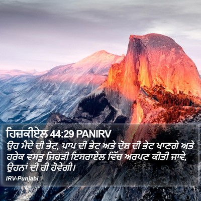 ਹਿਜ਼ਕੀਏਲ 44:29 PANIRV Bible Verse Image