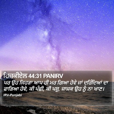ਹਿਜ਼ਕੀਏਲ 44:31 PANIRV Bible Verse Image