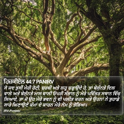 ਹਿਜ਼ਕੀਏਲ 44:7 PANIRV Bible Verse Image