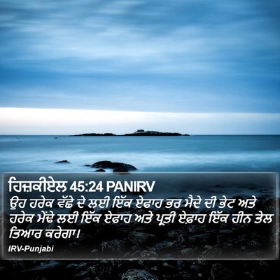 ਹਿਜ਼ਕੀਏਲ 45:24 PANIRV Bible Verse Image
