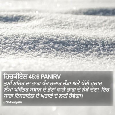 ਹਿਜ਼ਕੀਏਲ 45:6 PANIRV Bible Verse Image