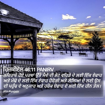 ਹਿਜ਼ਕੀਏਲ 46:11 PANIRV Bible Verse Image