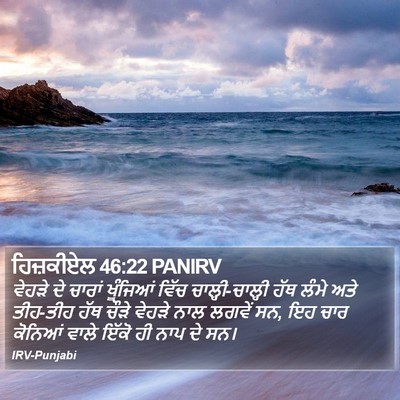 ਹਿਜ਼ਕੀਏਲ 46:22 PANIRV Bible Verse Image