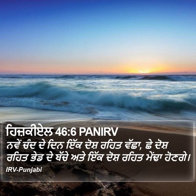 ਹਿਜ਼ਕੀਏਲ 46:6 PANIRV Bible Verse Image
