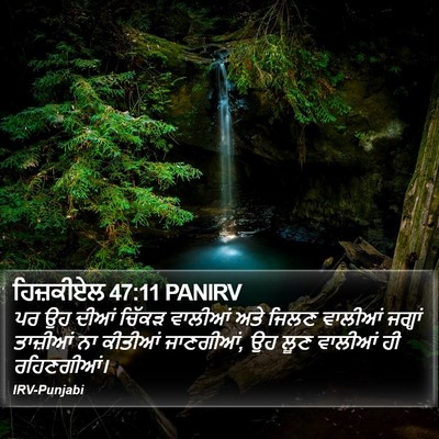 ਹਿਜ਼ਕੀਏਲ 47:11 PANIRV Bible Verse Image