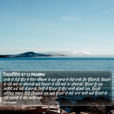 ਹਿਜ਼ਕੀਏਲ 47:12 PANIRV Bible Verse Image