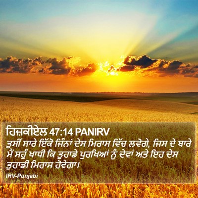 ਹਿਜ਼ਕੀਏਲ 47:14 PANIRV Bible Verse Image