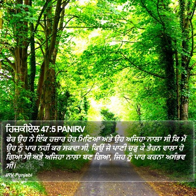 ਹਿਜ਼ਕੀਏਲ 47:5 PANIRV Bible Verse Image