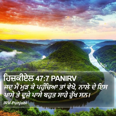 ਹਿਜ਼ਕੀਏਲ 47:7 PANIRV Bible Verse Image