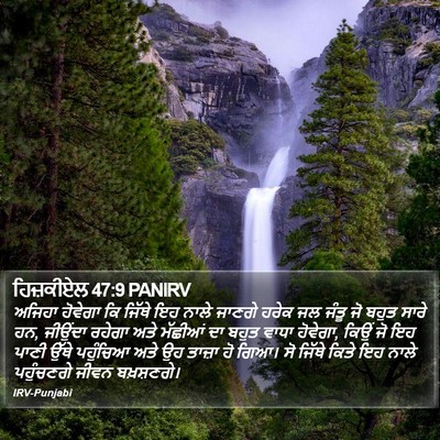 ਹਿਜ਼ਕੀਏਲ 47:9 PANIRV Bible Verse Image