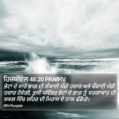 ਹਿਜ਼ਕੀਏਲ 48:20 PANIRV Bible Verse Image